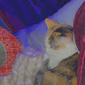 Meet your Posher, Jody